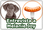 Entrevista a Melanie Joy Por qué amamos a los perros, nos comemos a los cerdos y nos vestimos con las vacas :: derechos animales