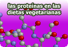 Proteínasen las dietas veganas y vegetarianas