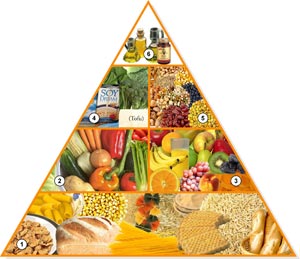 Pirámide Nutrición y Dieta Vegana