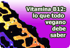 Lo que un vegano debe saber sobre la b12