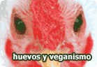 Huevos y veganismo: ¿Por qué no consumir huevos? :: vegetarianismo