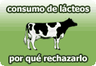 rechazar los productos lácteos por respeto a las vacas