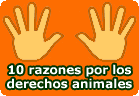 Diez razones para apoyar los derechos animales y su explicación . Artículo de derechos animales