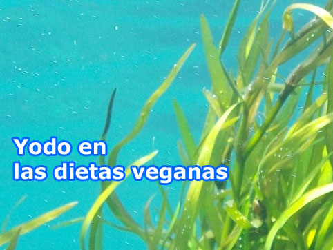 Yodo en las dietas veganas - 